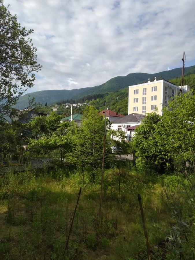 Na Shapsug Guest House Gagry Zewnętrze zdjęcie