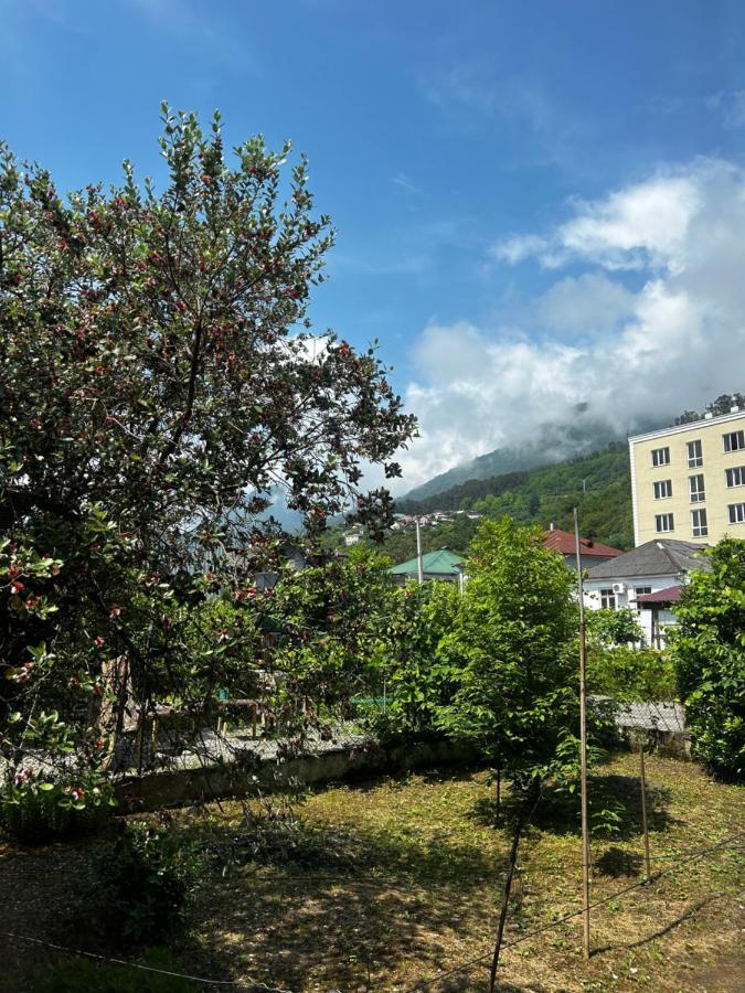 Na Shapsug Guest House Gagry Zewnętrze zdjęcie